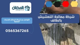 شركة معالجة التعشيش بالطائف