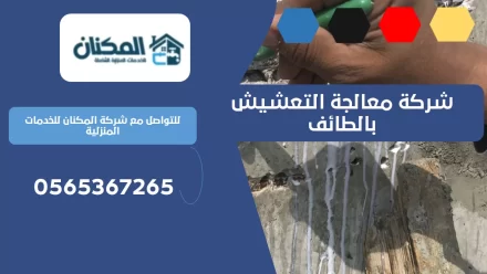 شركة معالجة التعشيش بالطائف