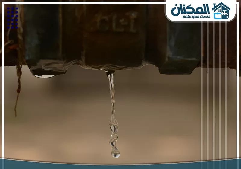أهمية الكشف عن تسريب المياه